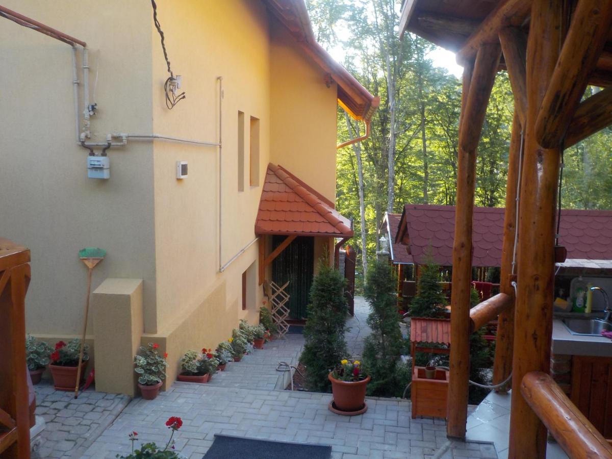Casa Dora Hotel Sovata Luaran gambar